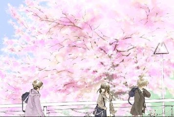 狼友视频中途转码